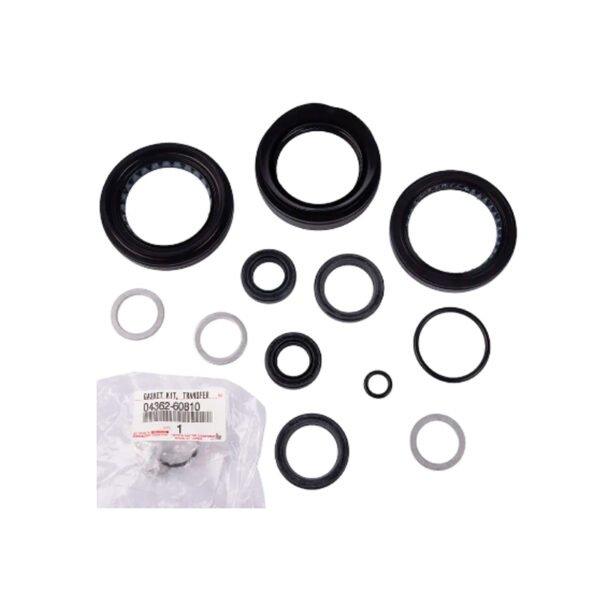 Transfer gasket kit