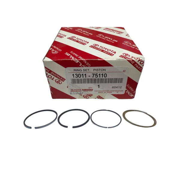 Piston ring