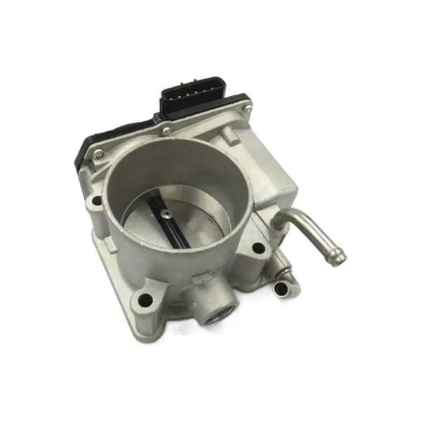 Throttle body