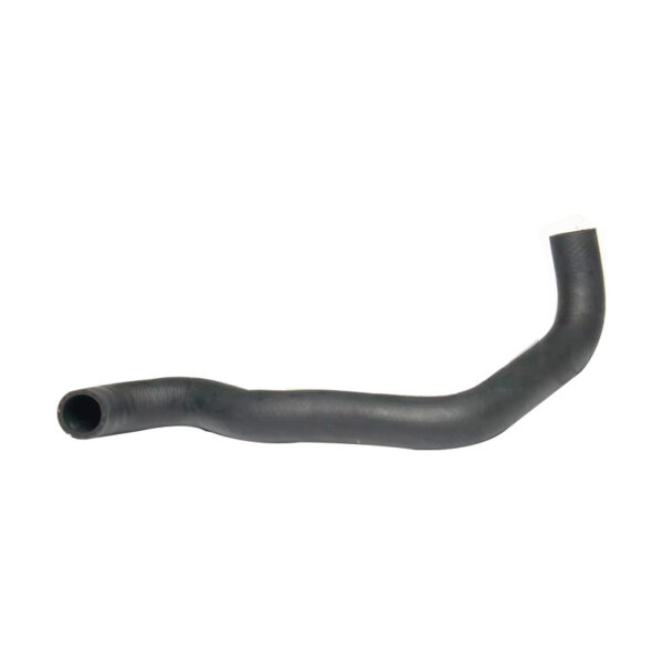 Radiator hose lower